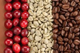 قهوه هندی اصل