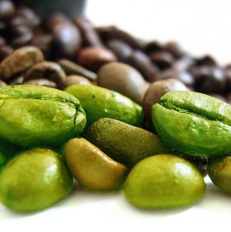 عرضه قهوه سبز عربیکا