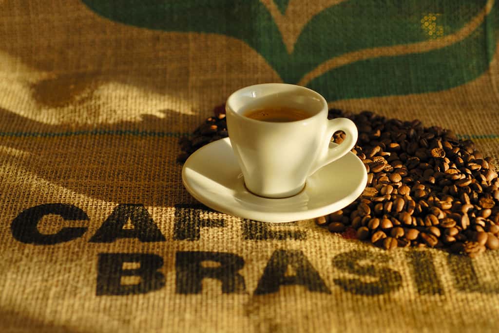 خرید قهوه برزیل