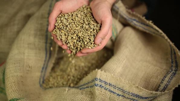 عمده فروشی دانه قهوه خام در بازار های داخلی و خارجی
