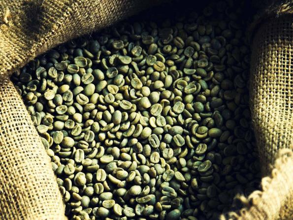 عمده فروشی دانه قهوه خام در بازار های داخلی و خارجی