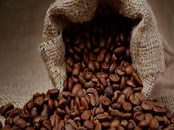 صادرات قهوه خام به کشورهای همسایه