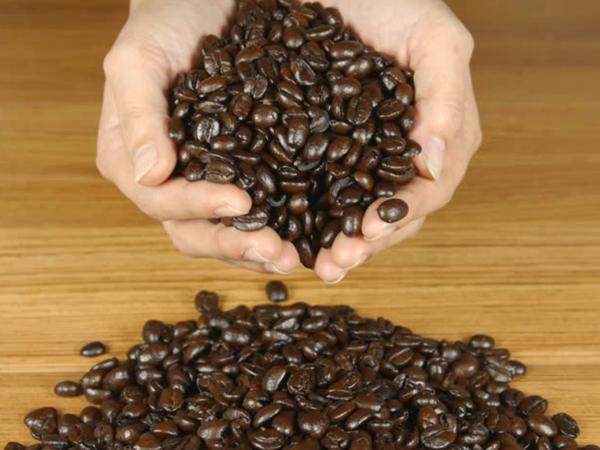 تولید کننده قهوه