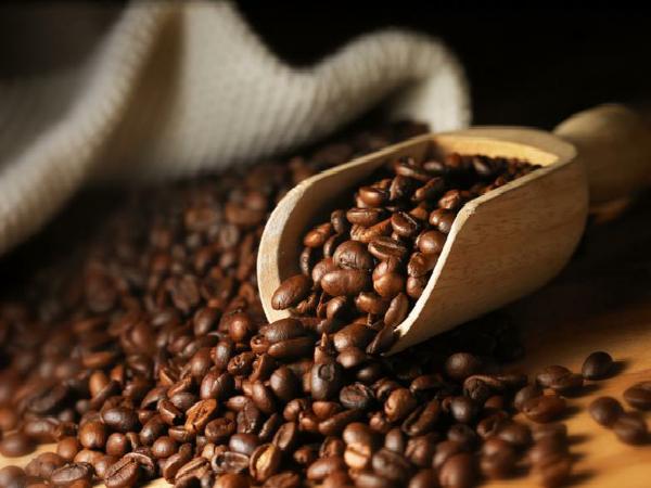 خریدار بهترین مارک قهوه خام در بازار ایران