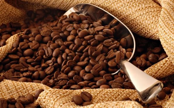 مراکز تولید دانه قهوه خام