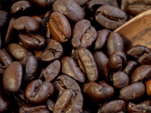 چگونگی شناسایی با کیفیت ترین قهوه فله