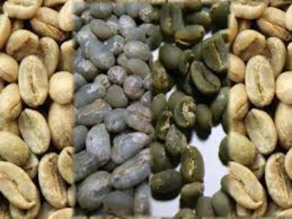 توزیع کنندگان دانه قهوه فله