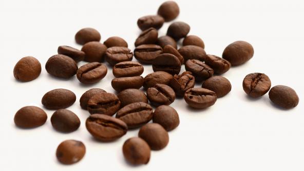 مراکز تولید دانه قهوه