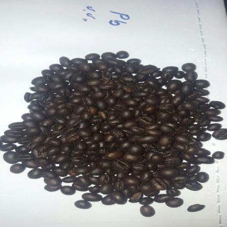 تولیدکنندگان دانه قهوه رست شده