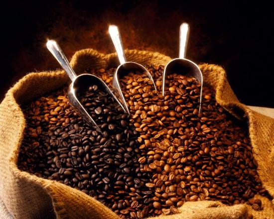 تامین کننده دانه قهوه رست شده