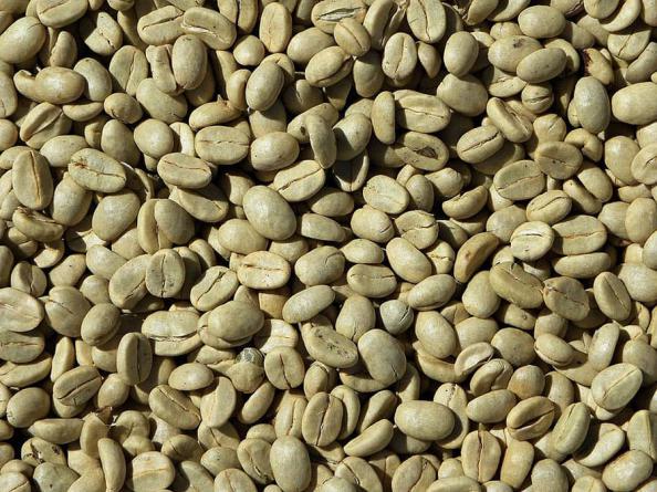 میزان سرمایه لازم برای تولید قهوه خام